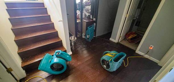 Best Flood restoration services  in Boonsboro, MD
