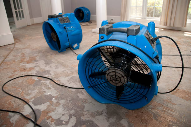Best Flooded house restoration  in Boonsboro, MD