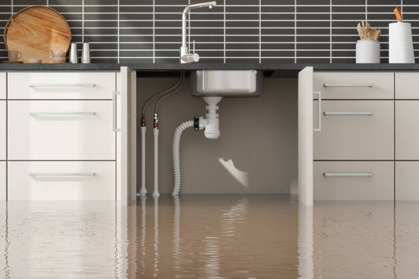 Best Water damage restoration experts  in Boonsboro, MD
